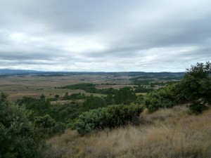 frankreich_languedoc_jeff_carrel_languedoc_2