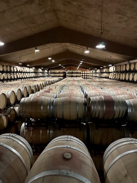 Fernandez de Pierola Vitium 2015