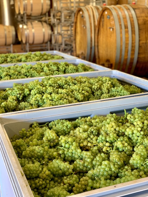 Von Winning Marmar Riesling 2020