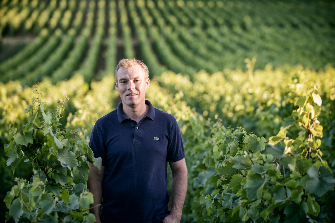 Benjamin Leroux Corton Grand Cru 2017