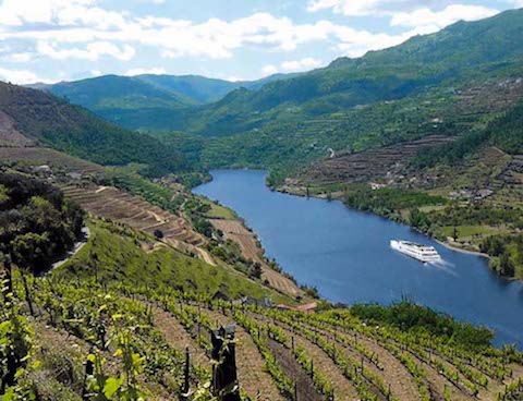Niepoort Tiara branco 2023