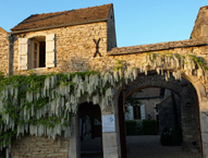 Berthelemot Puligny Montrachet 1er Cru Les Folatieres blanc 2020