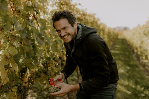 Weingut Winter