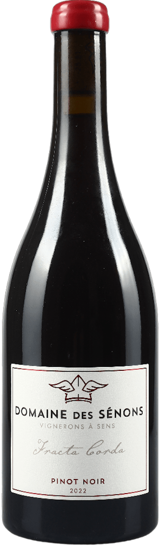Domaine des Sénons Fracta Corda Pinot Noir 2022 BIO