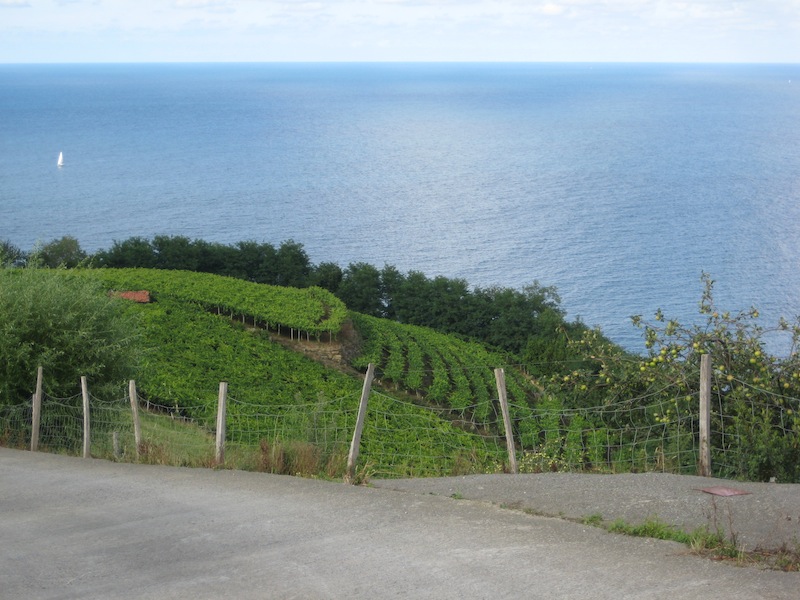 Blick vom Weinberg auf das Meer in Getaria.