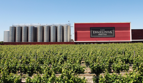 Ermelinda Sandstone Shiraz