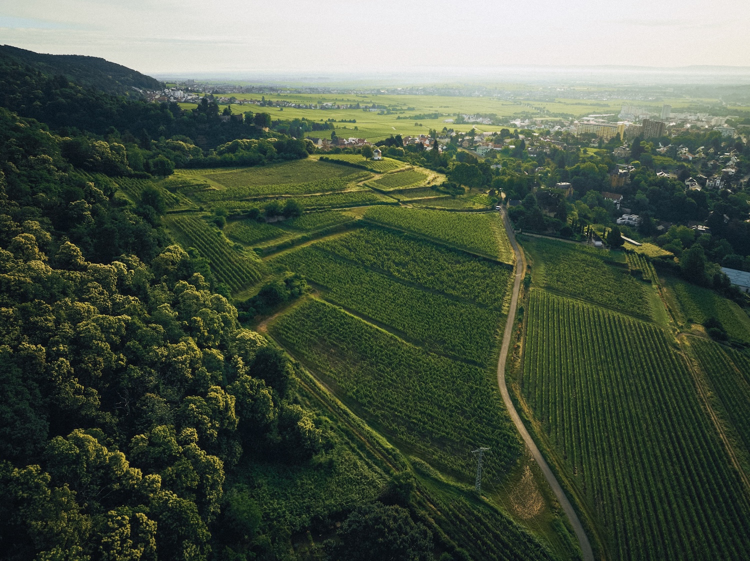 Weingut A. Christmann Aus den Lagen Riesling 2025 BIO