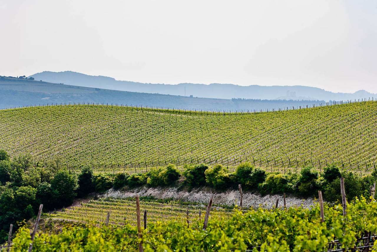 Tenuta Sant´Antonio Amarone della Valpolicella