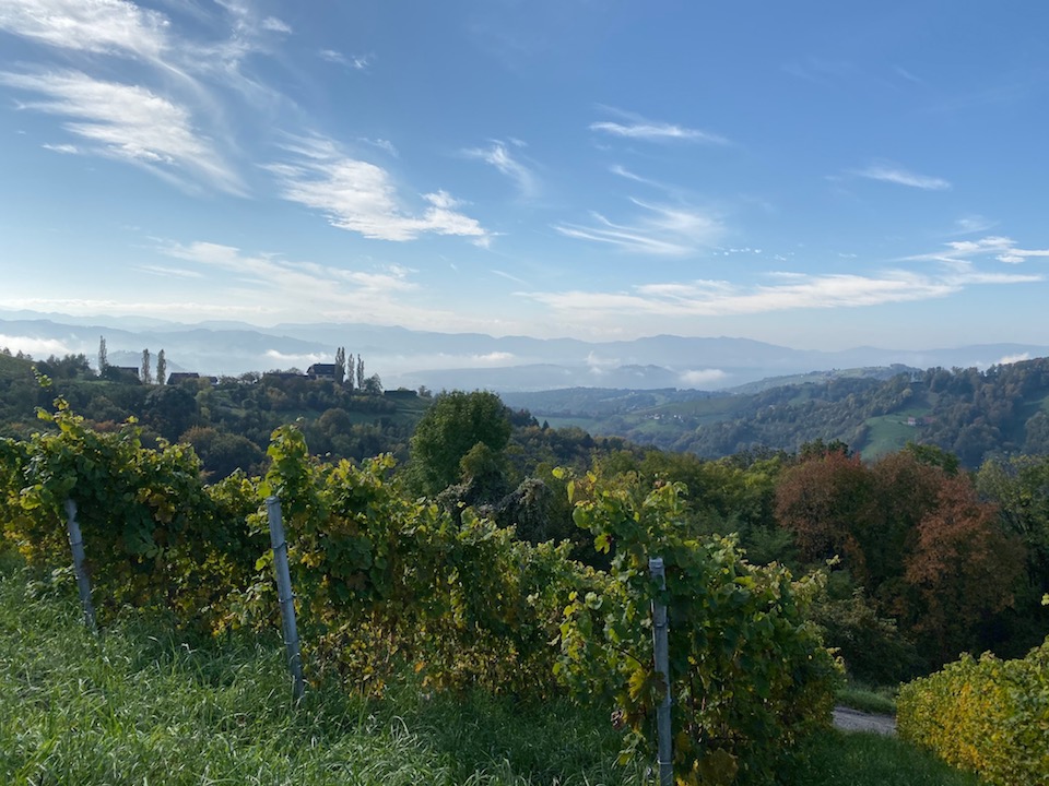 Wohlmuth Riesling Ried Edelschuh 2017