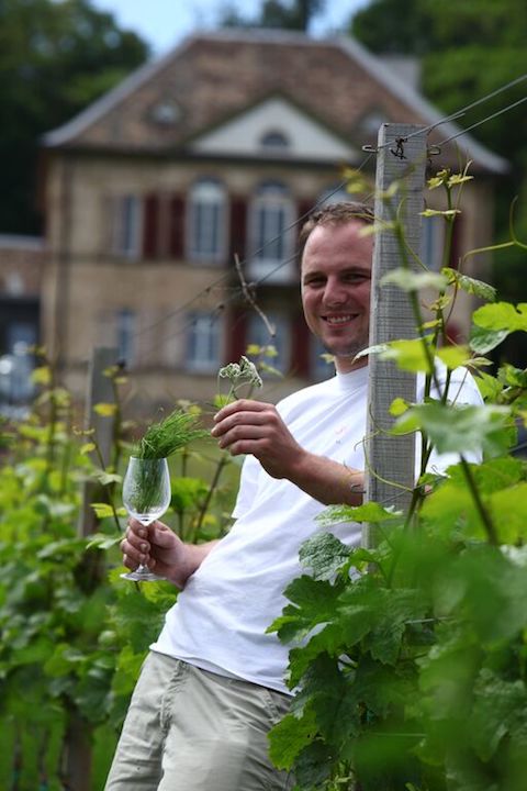 Odinstal Riesling 120 N.N. 2022 BIO