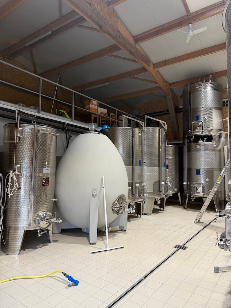 Betonei im Fasskeller von Winzer Tommy Chevallier im Burgund