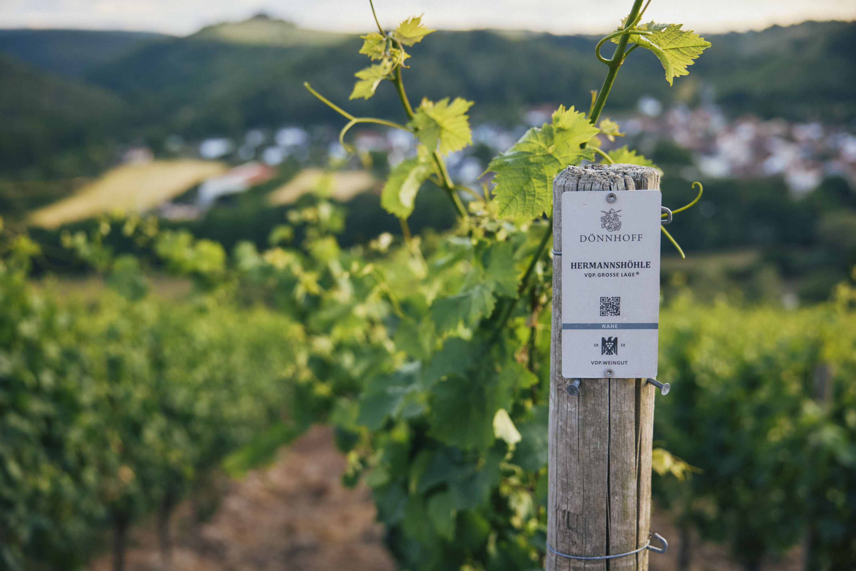 Dönnhoff Tonschiefer Riesling trocken 2023