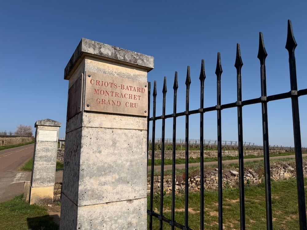 Le Moine Criots Bâtard Montrachet Grand Cru 2022
