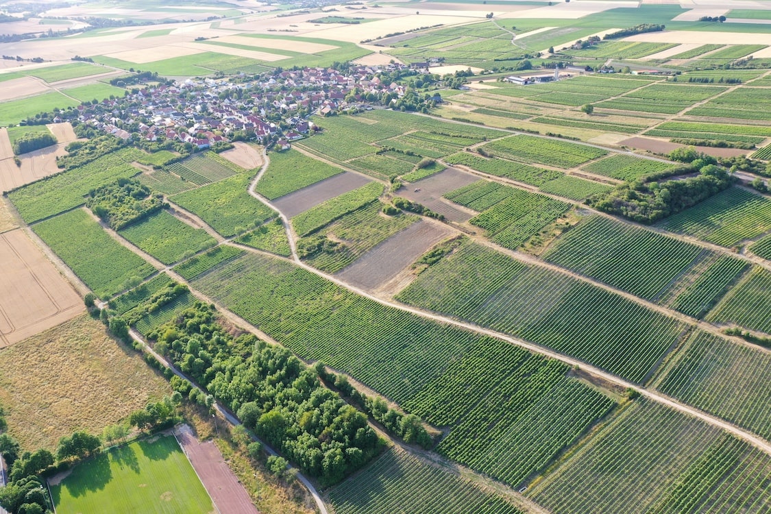 Schwedhelm Wotan-Kalkfels R Riesling trocken 2020
