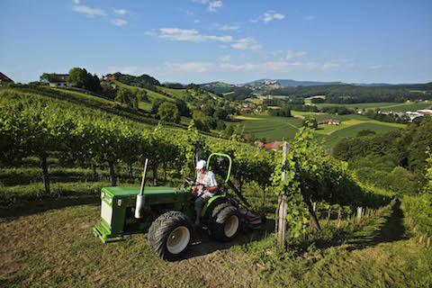 Neumeister Ried SAZIANI Grauburgunder G STK 2017 BIO