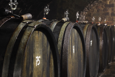 Forstmeister Geltz Zilliken Saarburg Rausch Riesling Großes Gewächs 2019