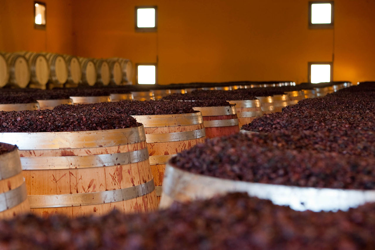 Tenuta Sant´Antonio Amarone della Valpolicella