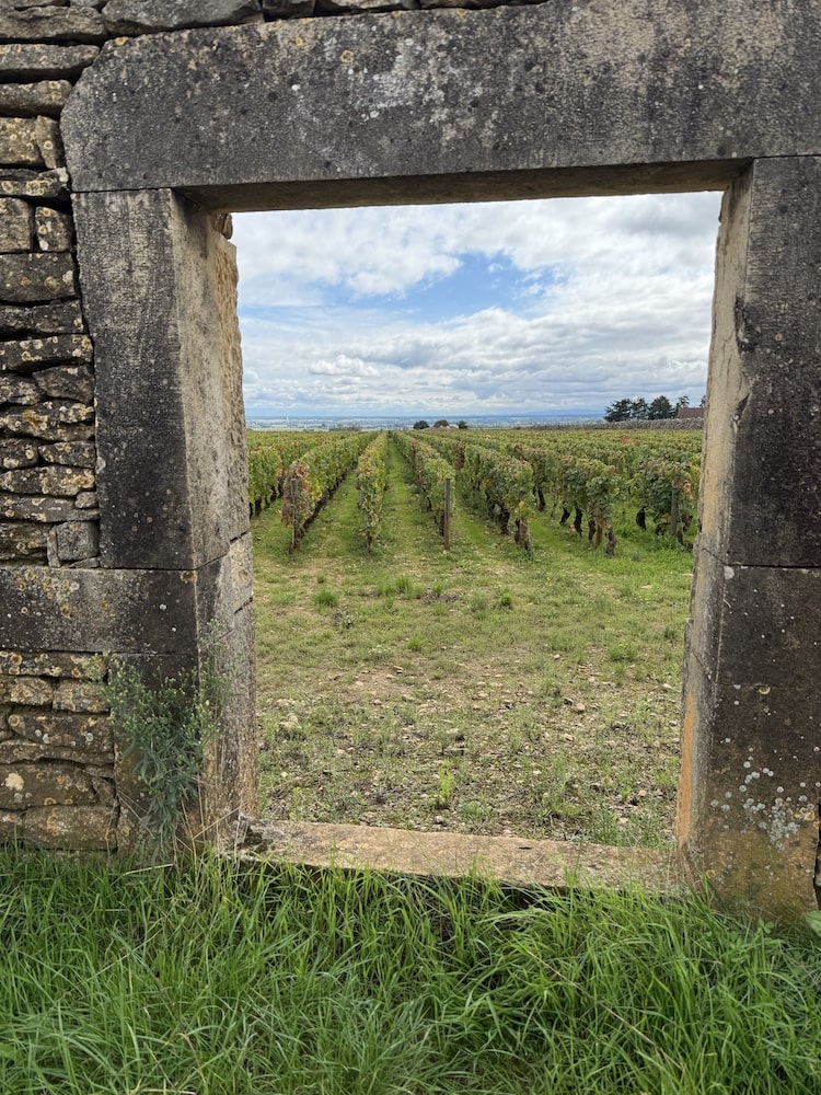 Domaine Sylvain Cathiard Vosne Romanee Aux Malconsorts 1er Cru 2023