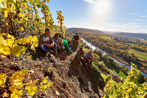 Van Volxem Altenberg Alte Reben Riesling Großes Gewächs 2017