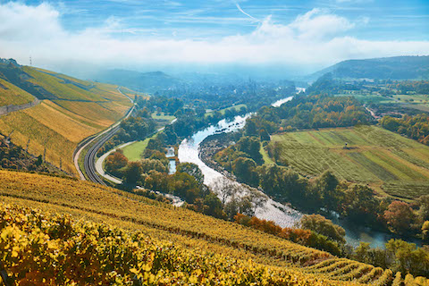 Van Volxem Altenberg Alte Reben Riesling Großes Gewächs 2017