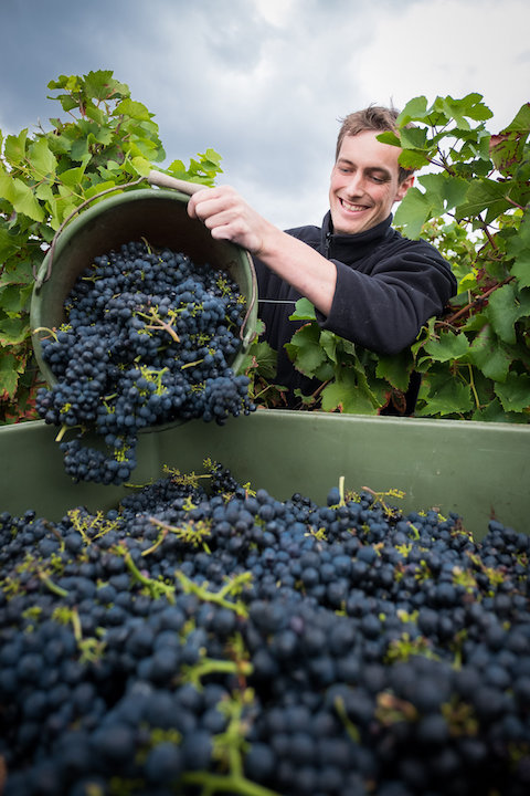 Weingut Eimermann