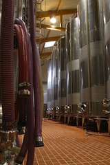 Montand-Sekt-Blanc-de-Blancs-Magnum-2.jpg