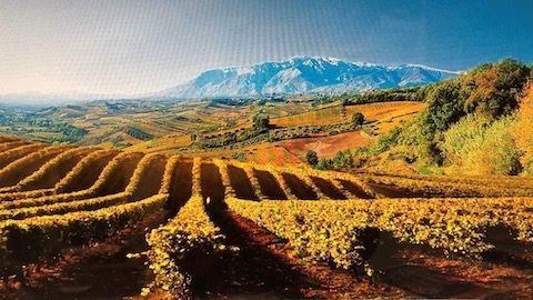 Jasci & Marchesani Cerasuolo d´Abruzzo rosato BIO