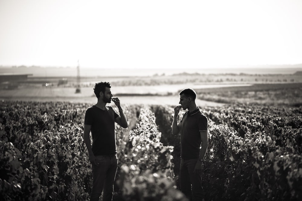 Champagne Pertois-Lebrun