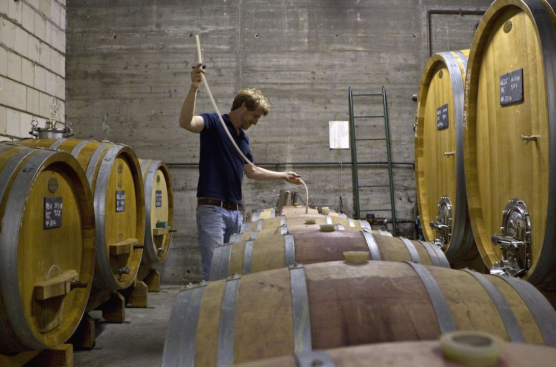 Weingut Peter Jakob Kühn