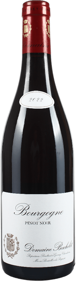 Domaine Bachelet Bourgogne Pinot Noir 2022