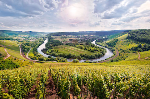 Van Volxem Altenberg Alte Reben Riesling Großes Gewächs 2017