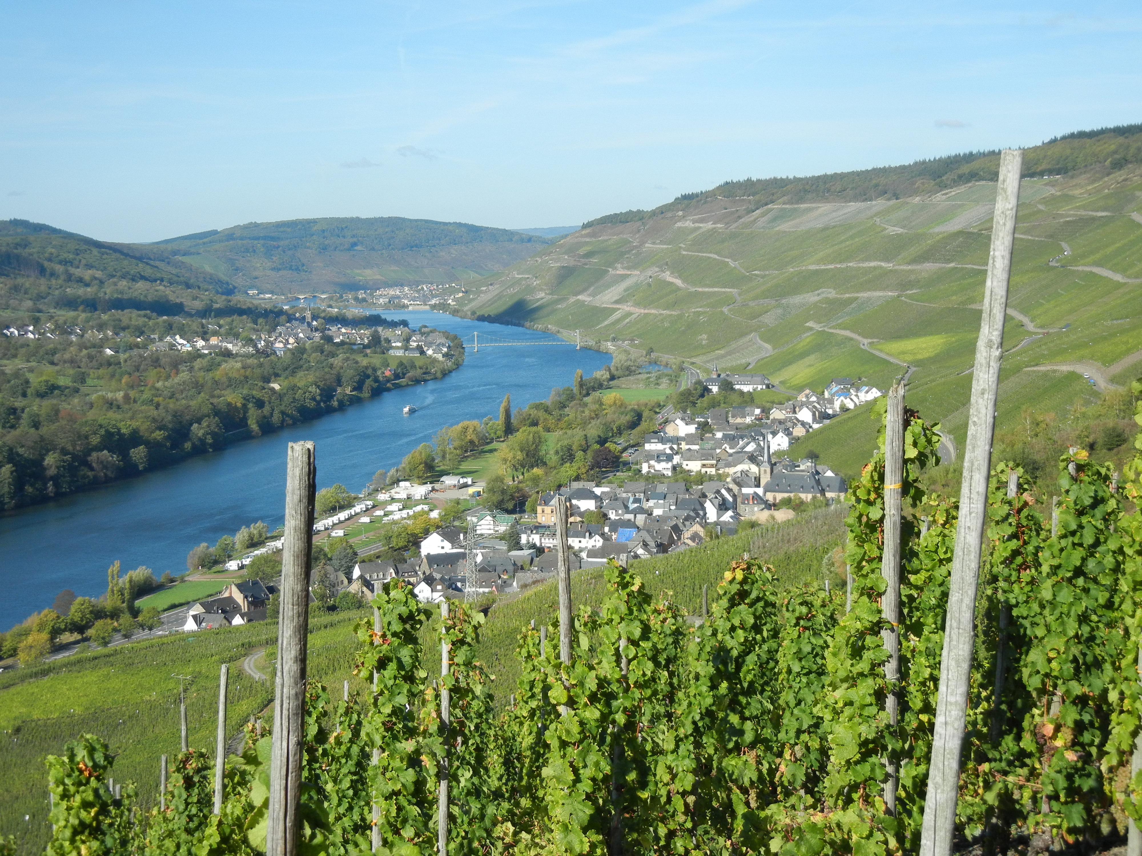 Willi-Schaefer-Graacher-Domprobst-Riesling-Kabinett-2.jpg