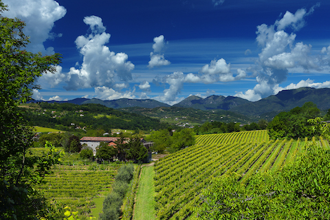 Le Manzane Roseo brut Spumante