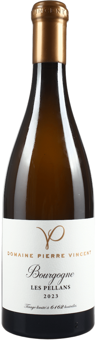 Domaine Pierre Vincent Bourgogne Les Pellans 2023
