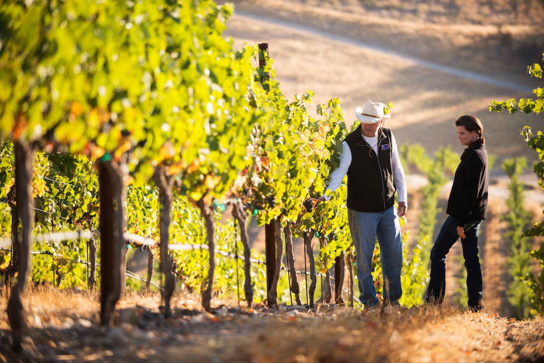 Epoch Estate Wines
