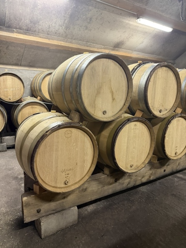 Barrique Keller bei Maxime Crotet in Beaune in Burgund