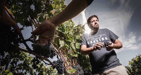 Schneider Rooi Olifant Red Blend 2021