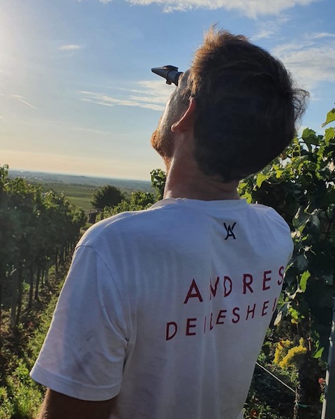 Weingut Andres Muskateller trocken BIO