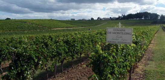 Domaine de Montlong