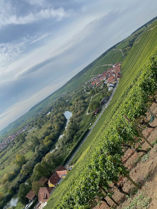 Horst Sauer Escherndorfer Lump Silvaner Trockenbeerenauslese 2019