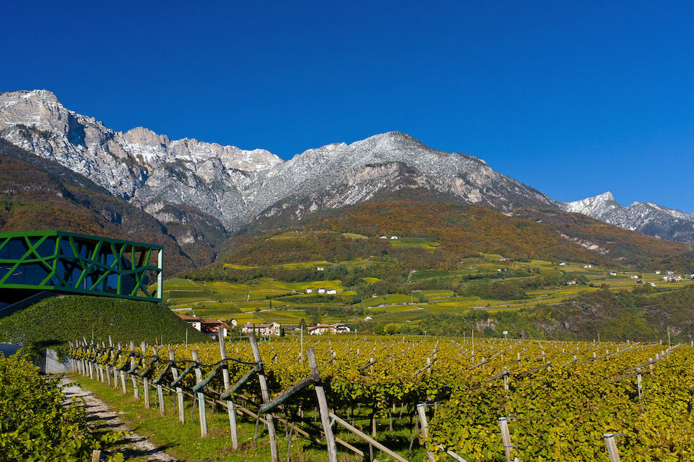 Tramin Sauvignon Blanc