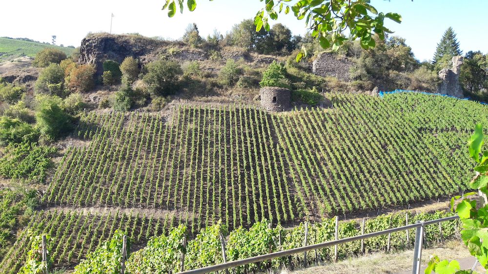 K. H. Schneider Sobernheimer Domberg Riesling trocken 2023