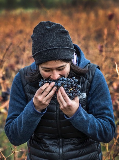 Jade Gross Peace, Love & Garnacha 2022