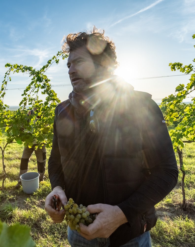 Herbert Zillinger Horizont Chardonnay 2023 BIO
