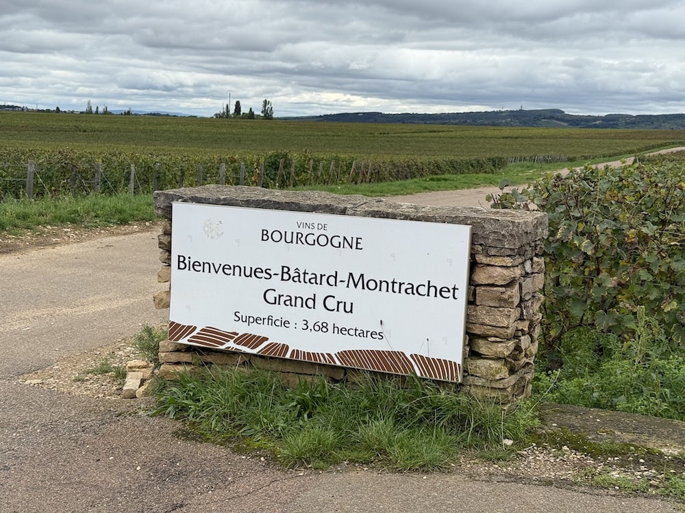 Etienne Sauzet Bienvenues-Batard-Montrachet Grand Cru 2023 BIO