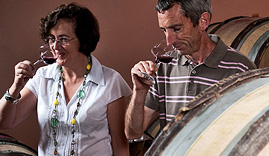 Berthelemot Puligny Montrachet 1er Cru Les Folatieres blanc 2020