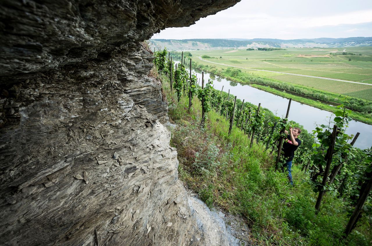 Hermann Ludes Thörnicher Ritsch Riesling Spätlese 2010