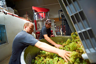Van Volxem Altenberg Alte Reben Riesling Großes Gewächs 2020 MAGNUM
