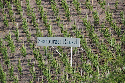 Forstmeister Geltz Zilliken Saarburg Rausch Riesling Großes Gewächs 2019 MAGNUM