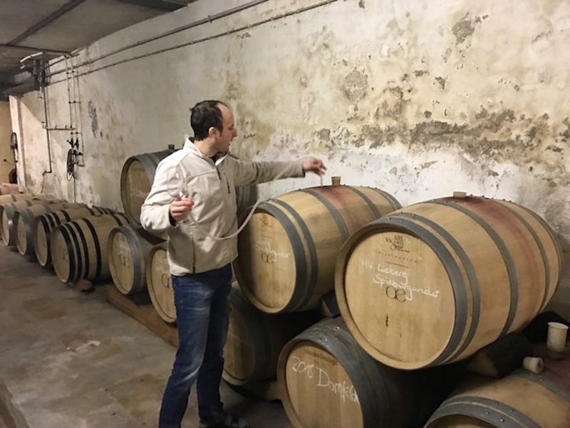 Weingut Büsser-Paukner